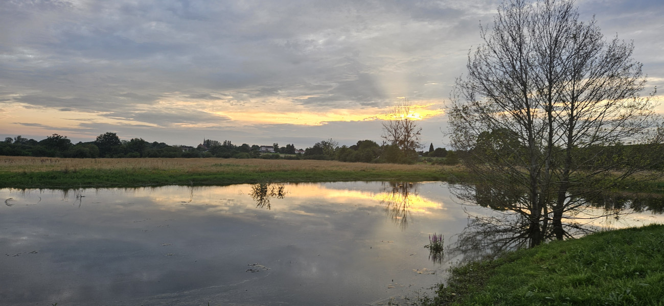 Lac du Der frankreich